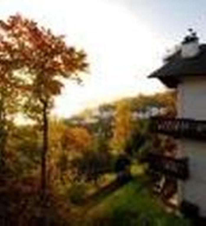 Hotel Du Lac Mont-Tremblant Ruang foto